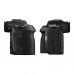 Canon EOS R5 Mark II Body (6536C022)