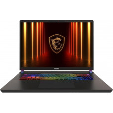 Ноутбук MSI Vector 17 HX AI A2XWJG (A2XWJG-089XPL)
